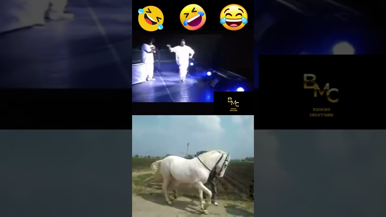 C walking at its finist!!😂🤣😂🤣😂🤣🐎🐎