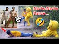 Crazy Teddy Bear Try Nacho Nacho Dance | Try to not Laugh🤣🤣| Full Bakchodi😝|  Crazy Teddy