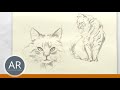 So einfach skizziert du eine Katze. Tier-Zeichnungen, Tiere einfach illustrieren. Zeichenkurse.