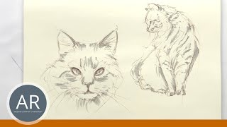 So einfach skizziert du eine Katze. Tier-Zeichnungen, Tiere einfach illustrieren. Zeichenkurse.