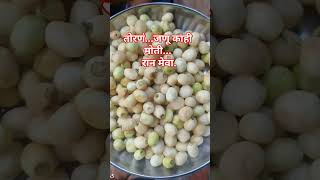 तरण कण नमव कणसख कणत