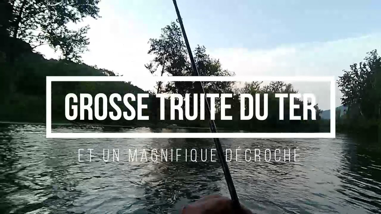 Grosse truite du Rio Ter