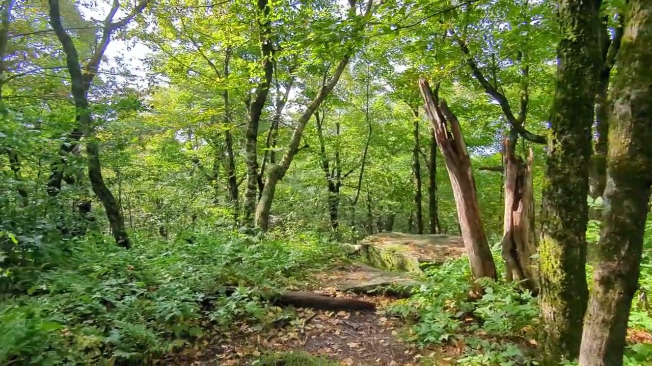 Halcott Mountain 9/8/23