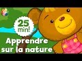 Apprendre sur la nature | Dessins animés éducatifs pour les enfants | BabyFirst