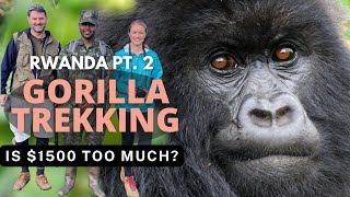 Trekking in Rwanda Part 2 | Gorillas in Volcanoes National Park  Ultimate Bucket List Adventure!