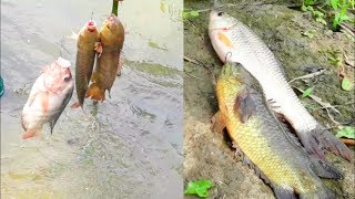 How to make a unique fish trap and catching fish using fishing hook &amp; fish feed