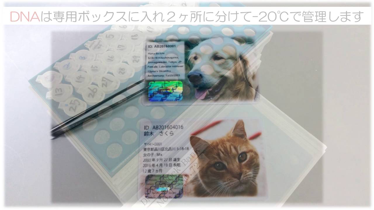 ペットエンジェルゲイト横浜青葉