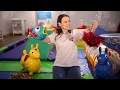 Toddler Sense презентация методики