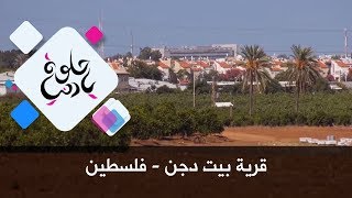 قرية بيت دجن - فلسطين - حلوة يا دنيا