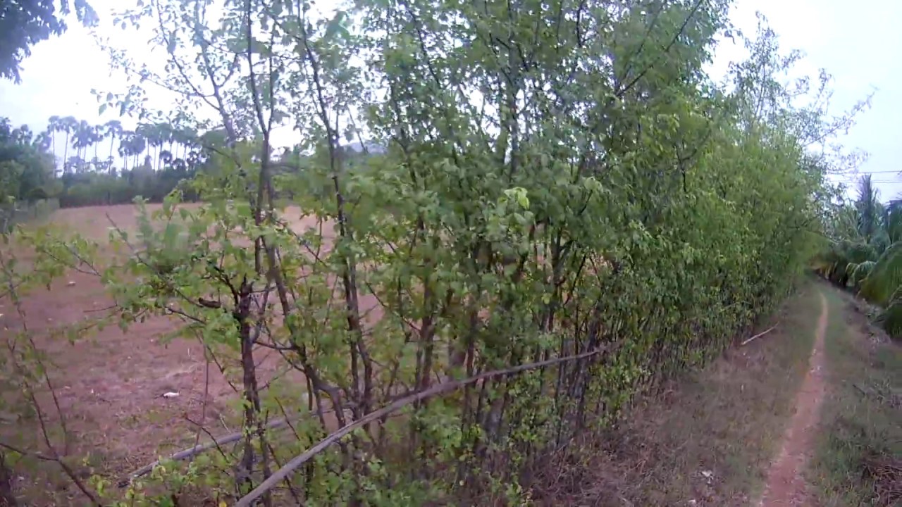 à®¤à¯à®à®°à¯à®ªà¯à®à¯à®¯ à®ªà®à®®à¯