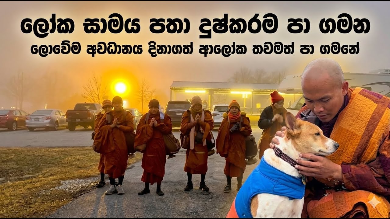 Самый трудный путь в поисках мира во всем мире. Свет, привлекший внимание всего мира.