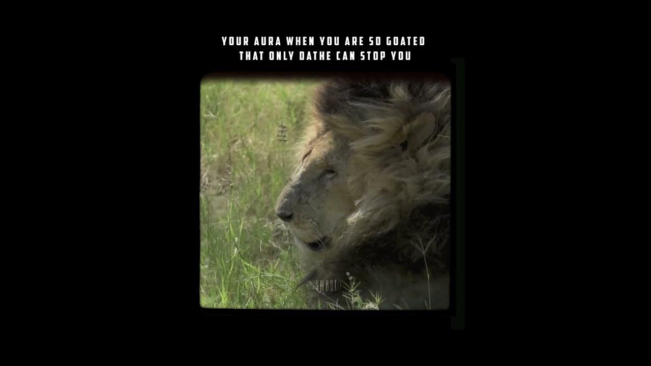 Aura 🔥🍿 #edit #history #lion #viral #scarface #shorts #instagram #shorts