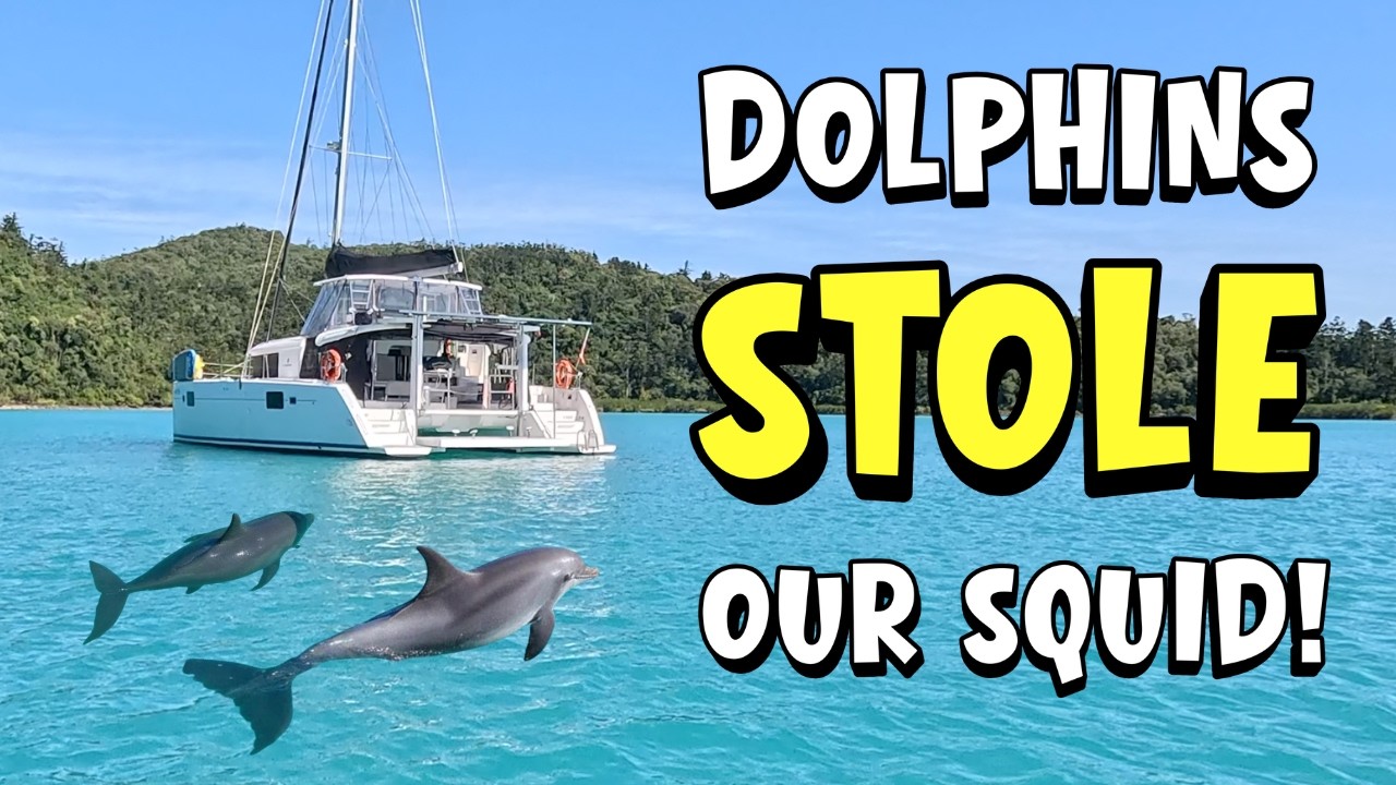⁣Best Wildlife Encounter Yet! Strong Winds 20 – 30 knots Sailing Great Barrier Reef