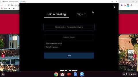 Installing the Zoom app on your Chromebook
