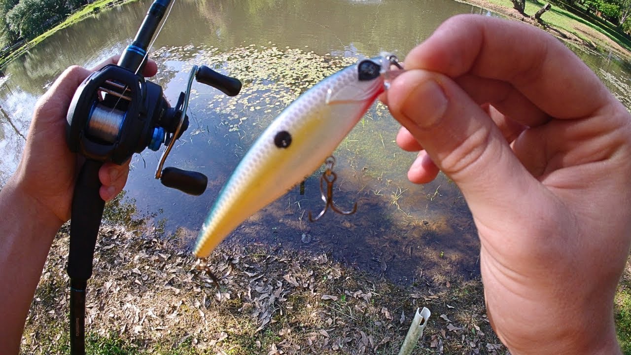 Fishing Jerkbait for Big AGGRESSIVE Pre-Spawn Bass in March!!!