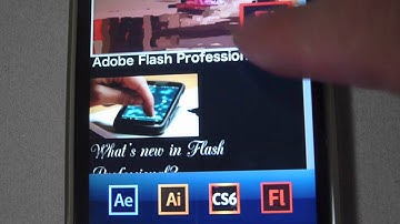 AIR 3.3 Starling Framework ViewChanger