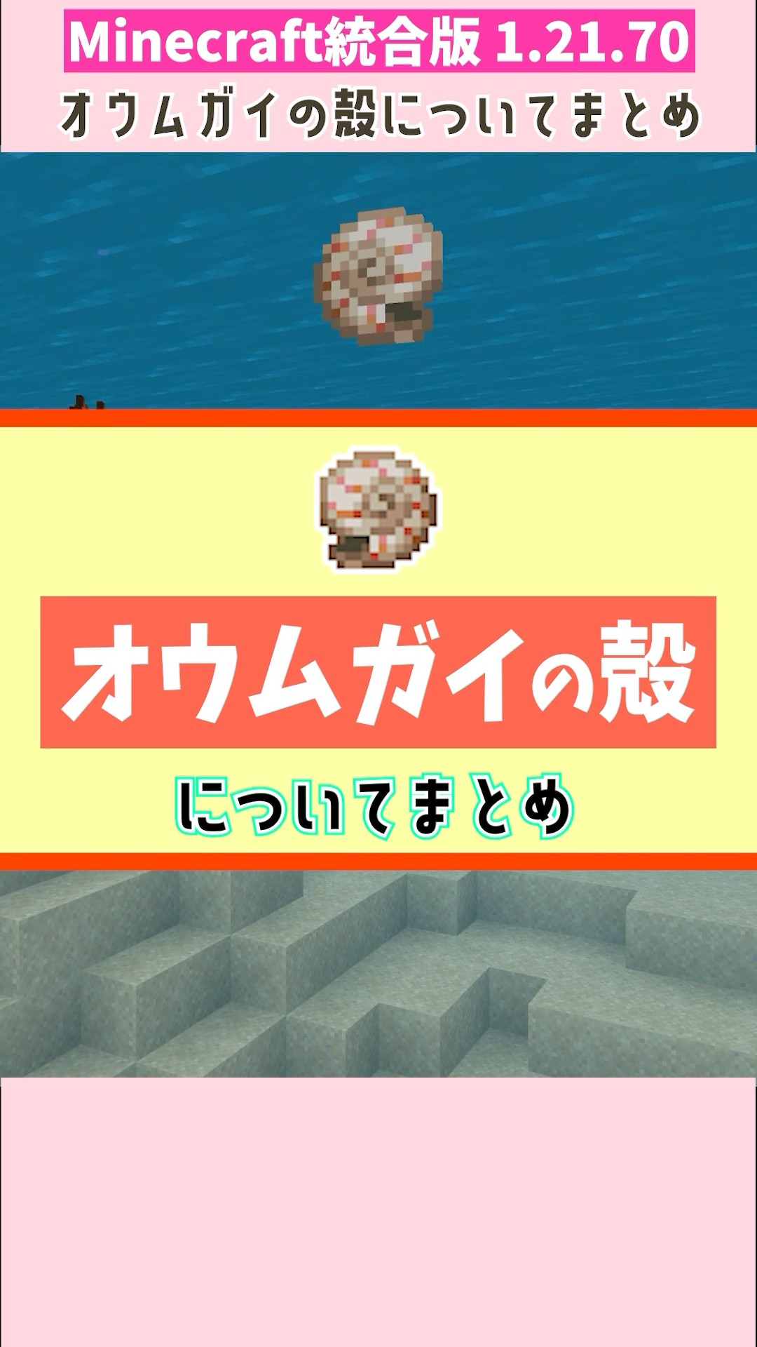 オウムガイの殻 3個セット マイクラ】オウムガイの殻の使い道と入手方法3選｜#マイン