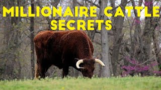 4 Rare Cattle Breeds That Can Make You a Millionaire 