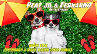 Peat Jr.  & Fernando feat.  Sheela - Nyári este (Fernando x Davis Grand 2k22 Remix)