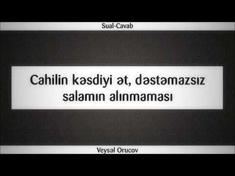 Cahilin kəsdiyi ət, dəstəmazsın salamın alınmaması || Veysəl Orucov [Veysel Orucov]