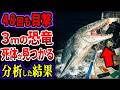 【ゆっくり解説】４８回以上目撃された３mのクロノサウルス...遂に死体が見つかる！？...近年発見されたヤバすぎる巨大生物４選【巨大生物】