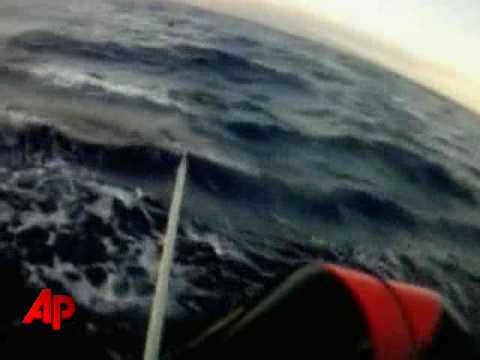 Raw Video: Entangled Whale Cut Free Off Maui