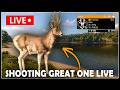 SHOOTING the GREAT ONE ROE DEER - LIVE!!!