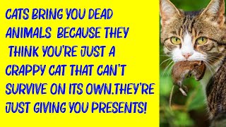 50 Amazing Cat Facts That You Probably Didn’t Know - funny humor