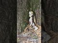 ポツンと人形 #心霊 #心霊配信