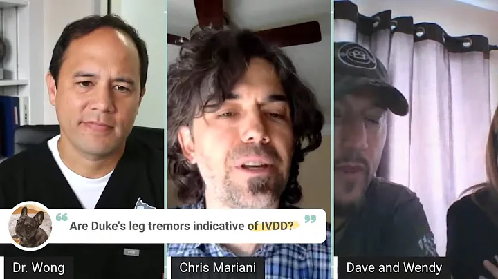 Seizure-Live Episodes in Dogs || Neuro Q & A