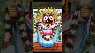 ଜୟ ଜଗନ୍ନାଥ #ମହାପ୍ରଭୁ #odia # puri dham