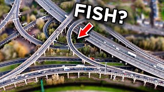 Do Fish Live Under the UK&#39;s BIGGEST Interchange?