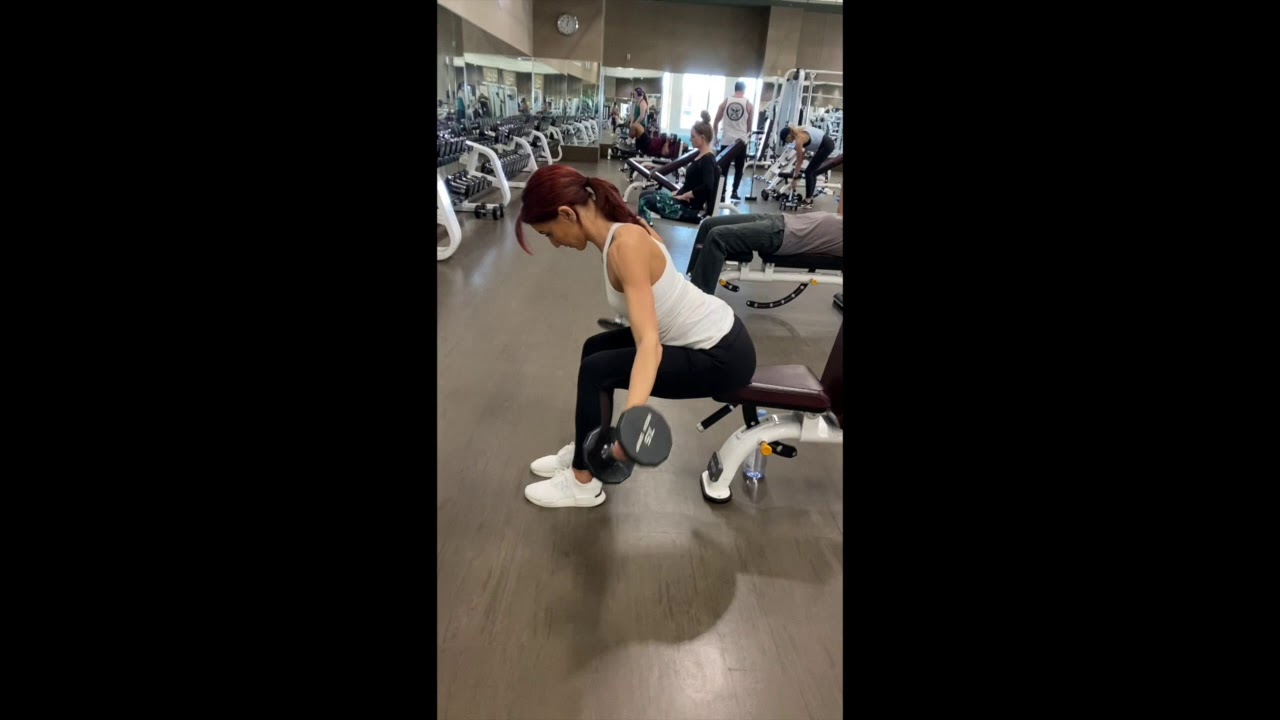 Dumbbell - Dual Seated Reverse Fly (Forward Lean - Reverse Grip) - YouTube