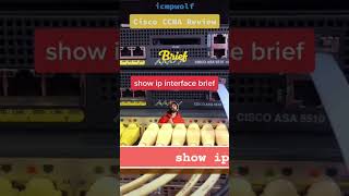 Cisco CCNA: What command shows a summary of router interfaces? - icmpwolf