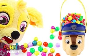 Learning Videos For Children Paw Patrol Skye & Chase Wrong Heads With Gumballs & Surprise Toys