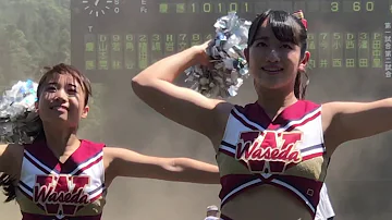 東京六大学 応援合戦 東京六大学 応援合戦
