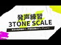 3tone scale 