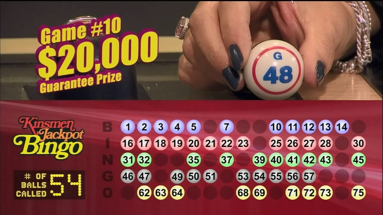 Bingo Bingo