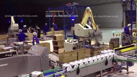 Automatic beer bottle beverage drinks bottle carton box palletizing machine carton palletizer line