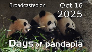 20251016 Broadcast Top Highlights 06