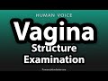 كيفية نطق مصطلح فحص بنية المهبل
