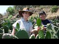 Pati's Mexican Table | The Rural Heart | Episode Trailer