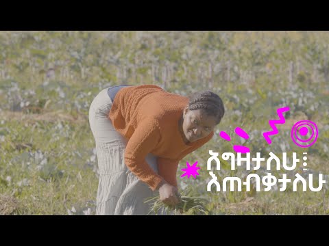 ቪዲዮ: የሚጥሱ እና የማይገምቱ 7 የሥነ ምግባር ደንቦች