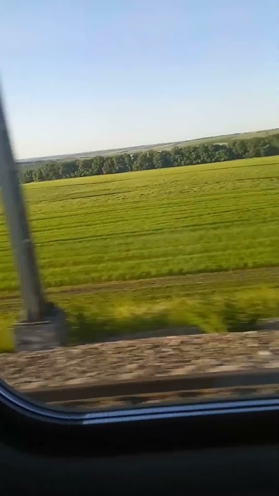красивое поле? - YouTube