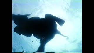 1994 Diet Coke swimming elephant television commercial