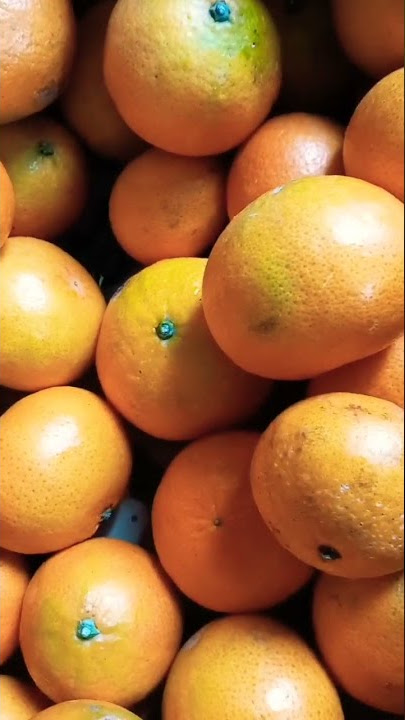 Fresh Mandarin fruits from Spain 🇪🇸 @buhayayganyan #trending #viral #viralvideo #mandarin