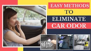 How To Remove Odors From Your Car Naturally - Easy Methods