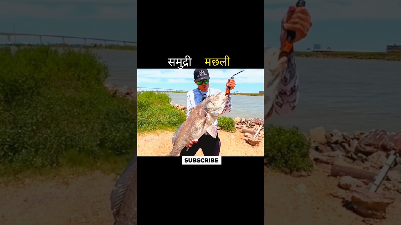 समुद्री मछली 😱 #aivideo #fishing #youtubeshorts #shortsfeed #facts #fish #shortvideo