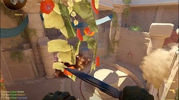 CS2 Anubis Heaven smoke orange molly 2 site flashes