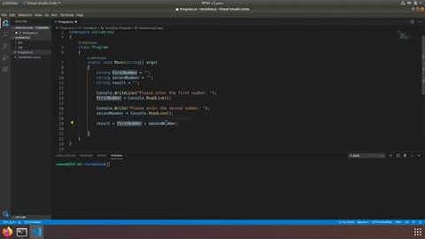C# Variables and Types - Part 2